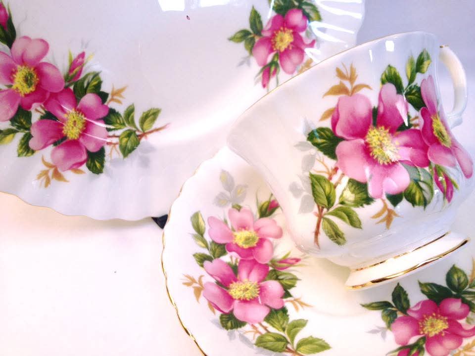 Royal Albert 'Prairie Rose' Bone China Trio — Set of Four