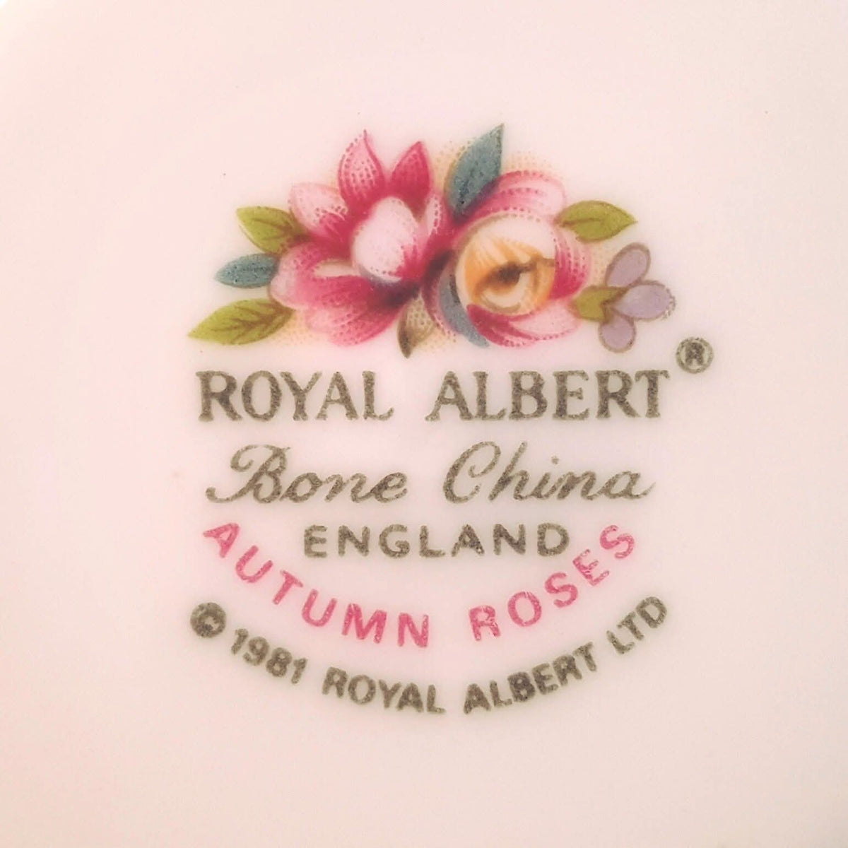 Royal Albert | Autumn Roses | Nine-Piece Coffee Set | Bone China | 1981