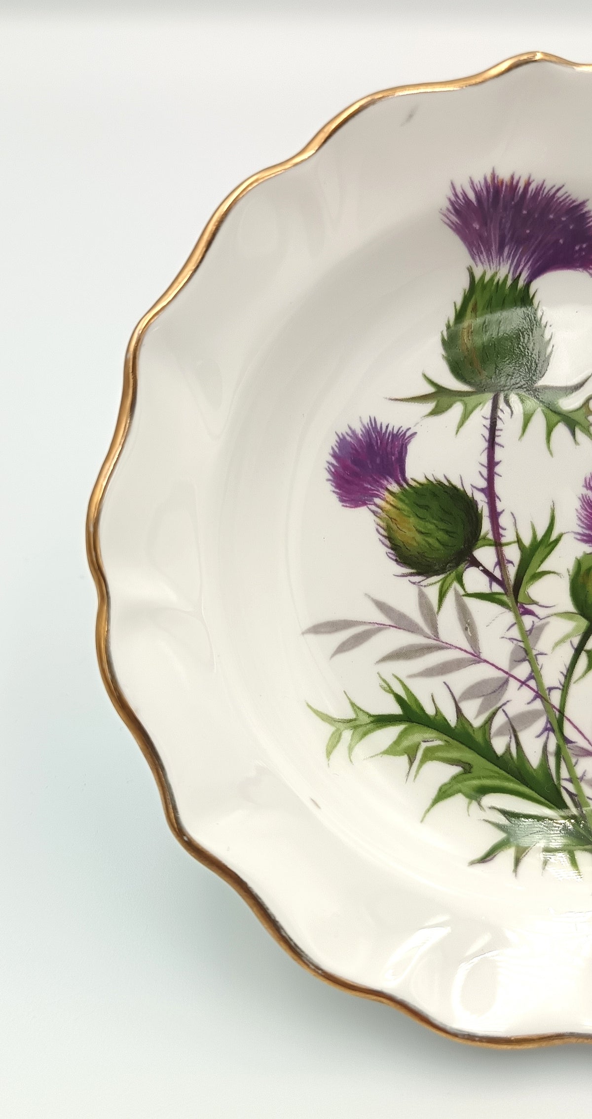 Duchess | Bone China | Thistle Pin Dish | Scottish Souvenir | c.1960s–1980s