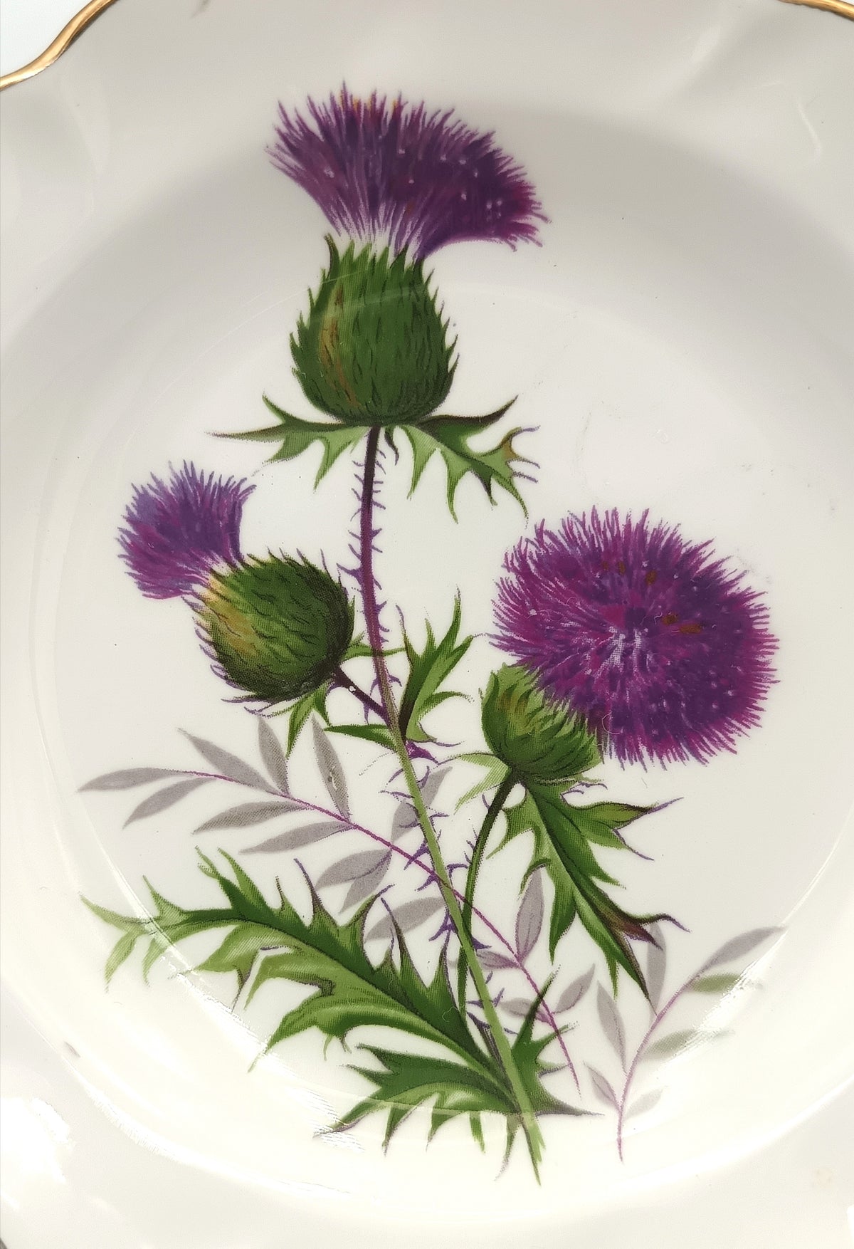 Duchess | Bone China | Thistle Pin Dish | Scottish Souvenir | c.1960s–1980s