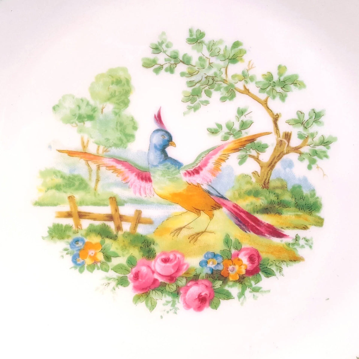 Foley China | Broadway Pattern | E. Brain & Co. Ltd. | Large Handled Cake Plate | English Bone China | Circa 1950s–1960s | Excellent Condition